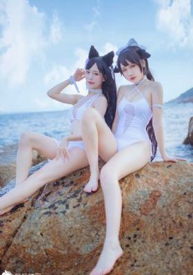 成年视频免费观看_HD高清在线